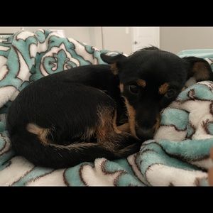 Meet your Posher, Sherry